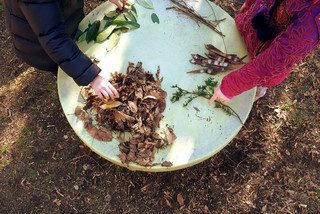 240_F_248470038_Z0cHidpcqXKOyPwj4RaaX6guIvz6tfSI